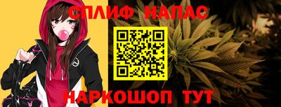 индика Ирбит