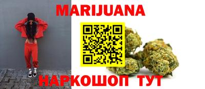 индика Ирбит