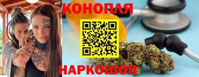 a pvp Камышлов