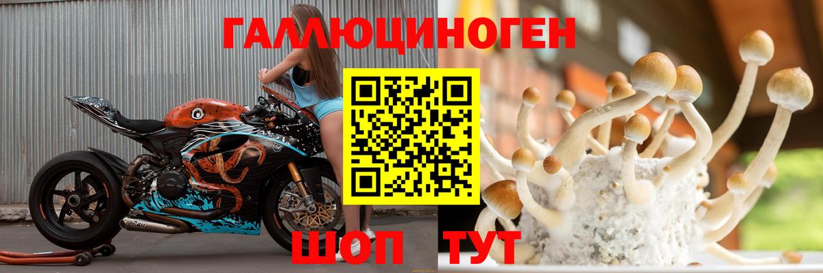 Лениногорск  Псилоцибиновые грибы мухоморы  Вход с VPN  Галлюциногенные грибы GOLDEN TEACHER 